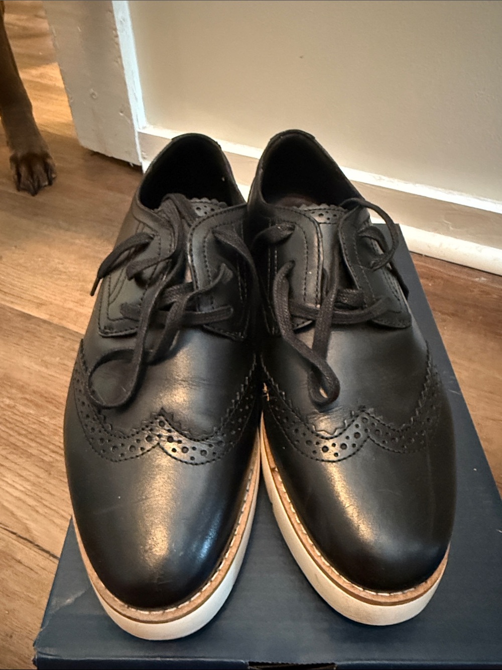 Cole Haan Black Leather Wingtip Oxfords with Contrasting Sole